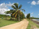 Los Machos Beach - CEIBA